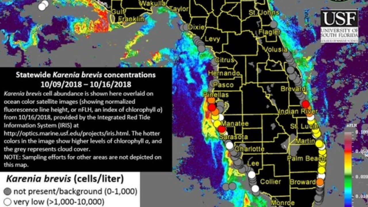 Red tide maps show few spots in Southwest Florida